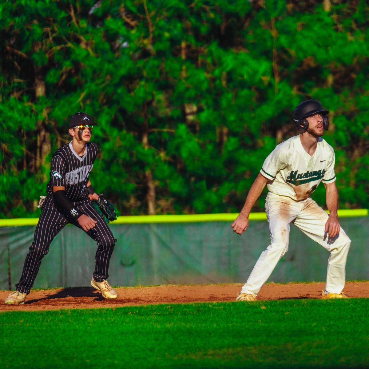 Willie_Prince_Kennesaw_Mountain_baseball.33